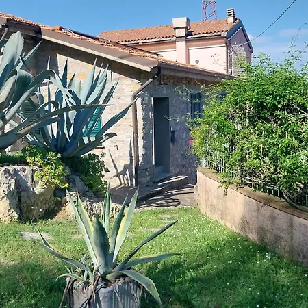 Vignale House Holiday home *